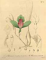  no thumbnail available