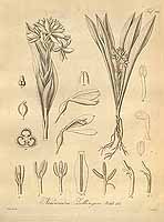  no thumbnail available