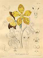  no thumbnail available