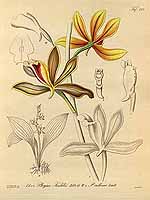  no thumbnail available