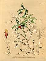  no thumbnail available