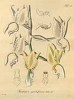  no thumbnail available