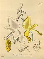  no thumbnail available