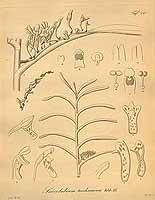  no thumbnail available