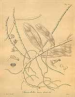  no thumbnail available