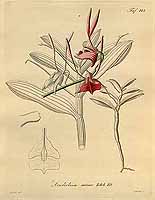  no thumbnail available