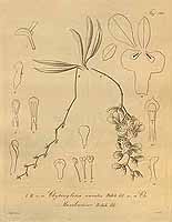  no thumbnail available