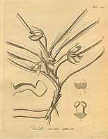  no thumbnail available