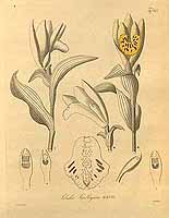  no thumbnail available