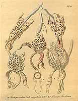  no thumbnail available