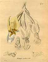  no thumbnail available