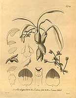  no thumbnail available