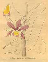  no thumbnail available