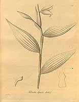  no thumbnail available