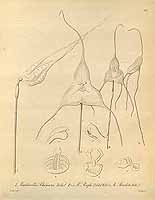  no thumbnail available