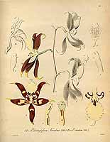  no thumbnail available