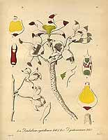  no thumbnail available