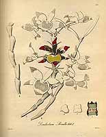  no thumbnail available