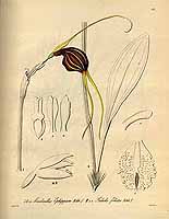  no thumbnail available