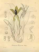  no thumbnail available