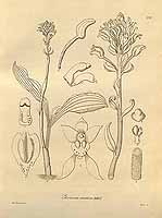  no thumbnail available