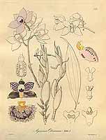  no thumbnail available