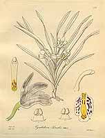  no thumbnail available