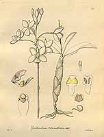  no thumbnail available