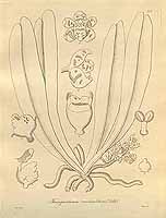  no thumbnail available