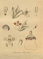  no thumbnail available