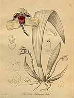  no thumbnail available