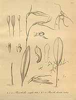  no thumbnail available