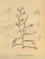  no thumbnail available