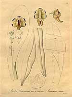  no thumbnail available