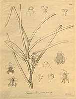  no thumbnail available