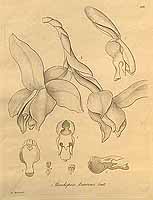  no thumbnail available