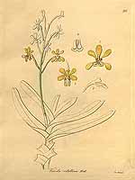  no thumbnail available