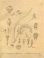  no thumbnail available