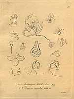  no thumbnail available