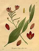  no thumbnail available