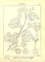  no thumbnail available