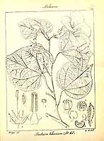  no thumbnail available