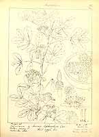  no thumbnail available