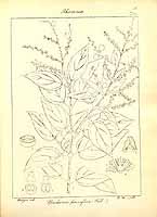  no thumbnail available