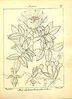  no thumbnail available