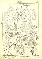  no thumbnail available