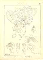  no thumbnail available