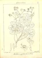  no thumbnail available