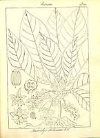  no thumbnail available