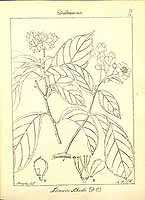  no thumbnail available